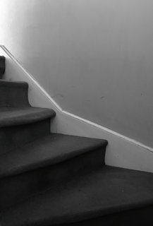 Steps to Risk Management