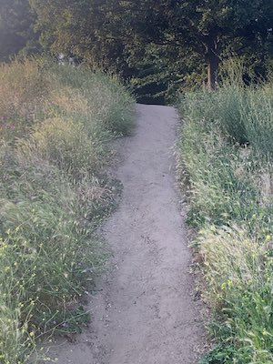 Trail path