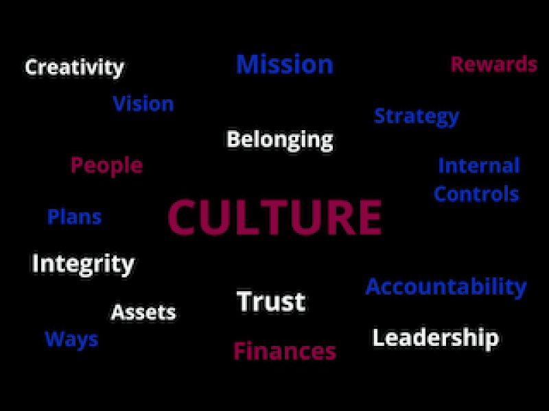 developing a positive culture