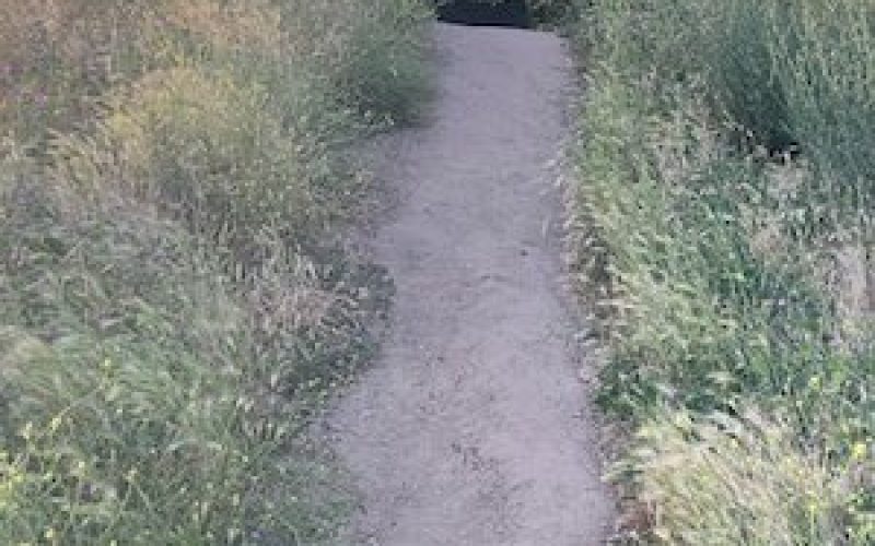 Trail path