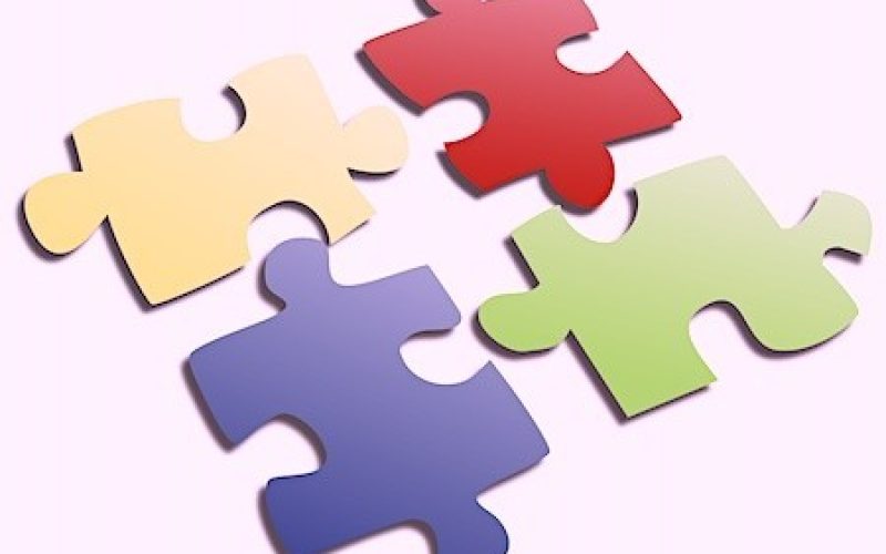 jigsaw pieces
