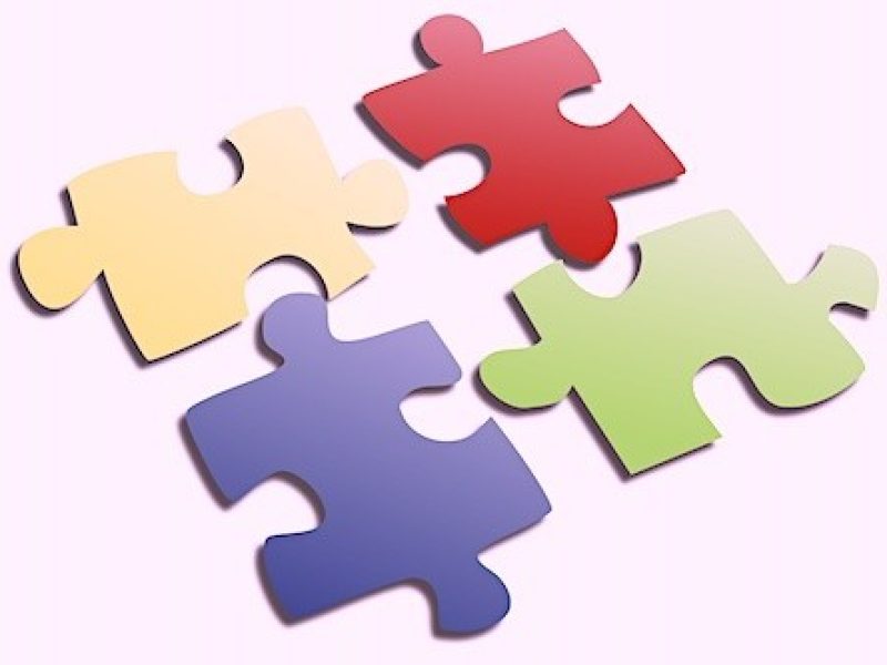 jigsaw pieces
